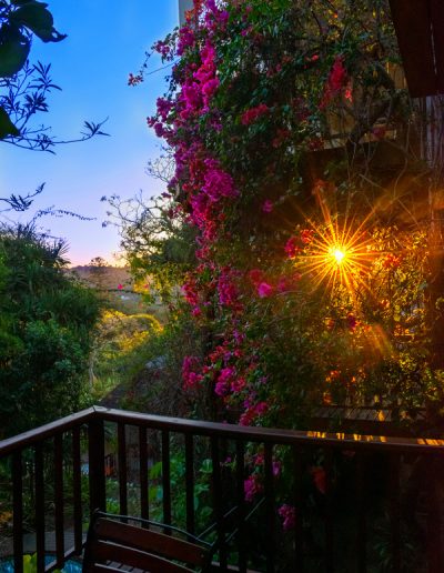 Sunrays through bougainvilleas - East London | Lycona Photography | Durban & Cape Town | Call: +27 83 246 5949